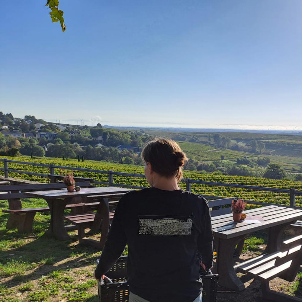 Weinrast-Eröffnung