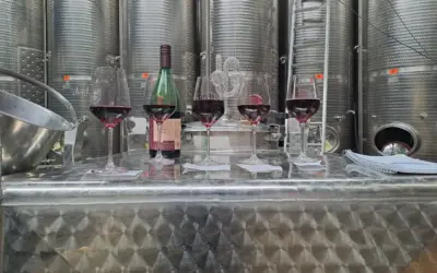 Neuer Jahrgang – jetzt genießen!