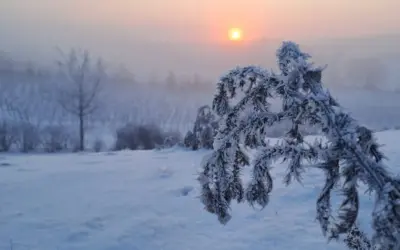 Glühweinzeit im Zellertal!