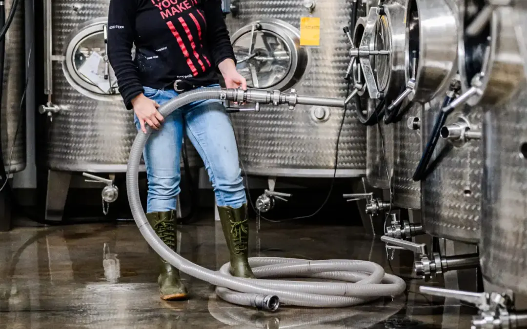 Neuer Jahrgang &ndash; jetzt genie&szlig;en!